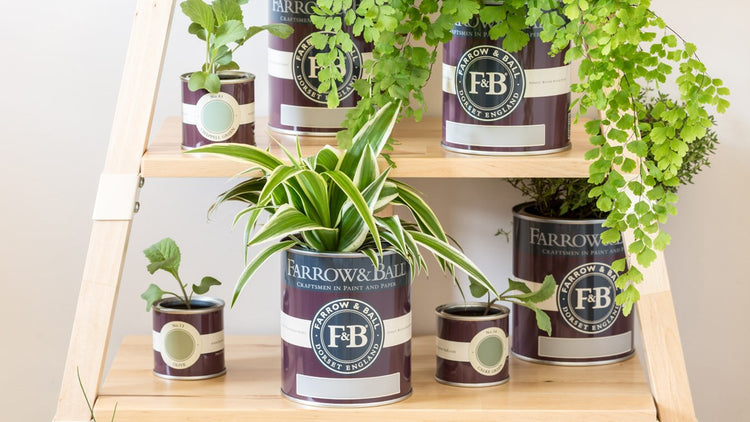 Farrow & Ball