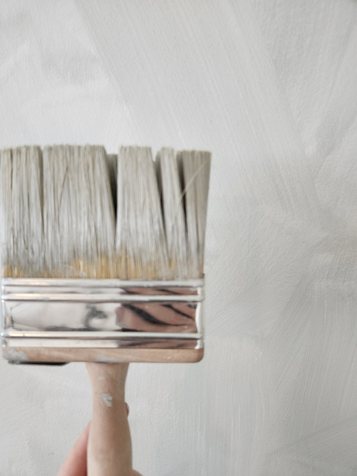 Intro to Plaster and Decorative Paints