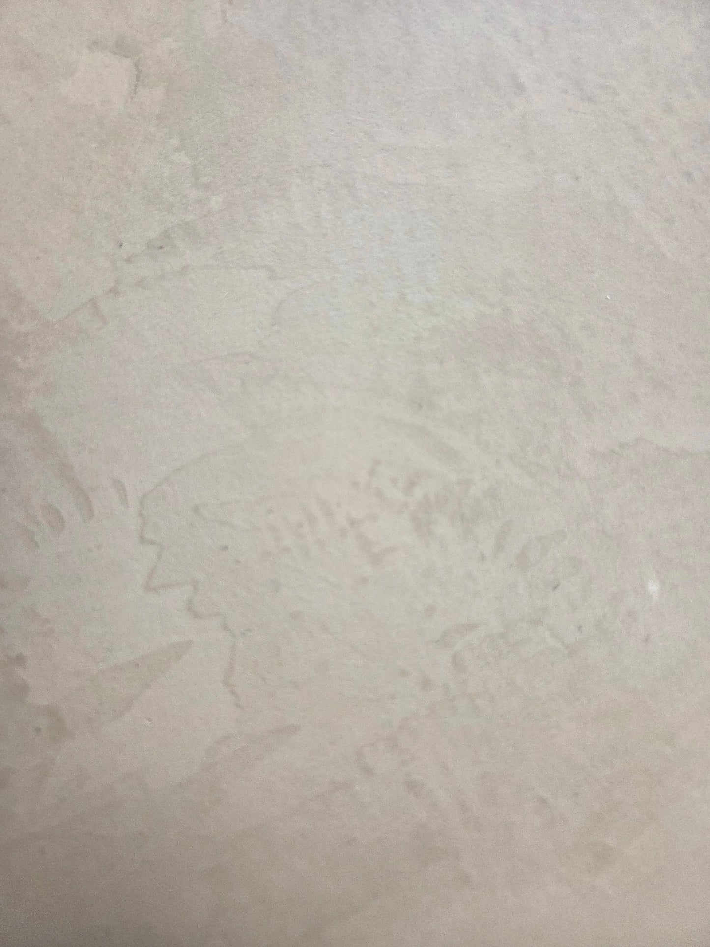 Microestil Deco-Past Plaster Workshop (floors and wet areas)