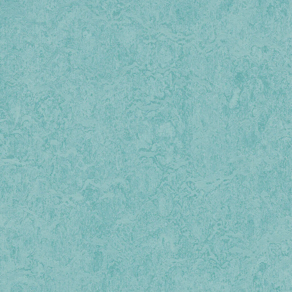 333267/933267 Aqua