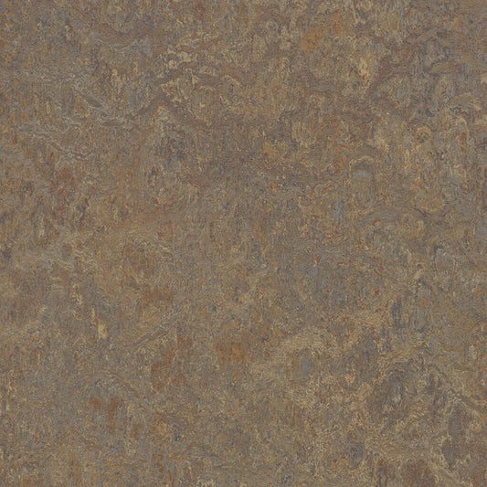 333426/933426  Cork Tree