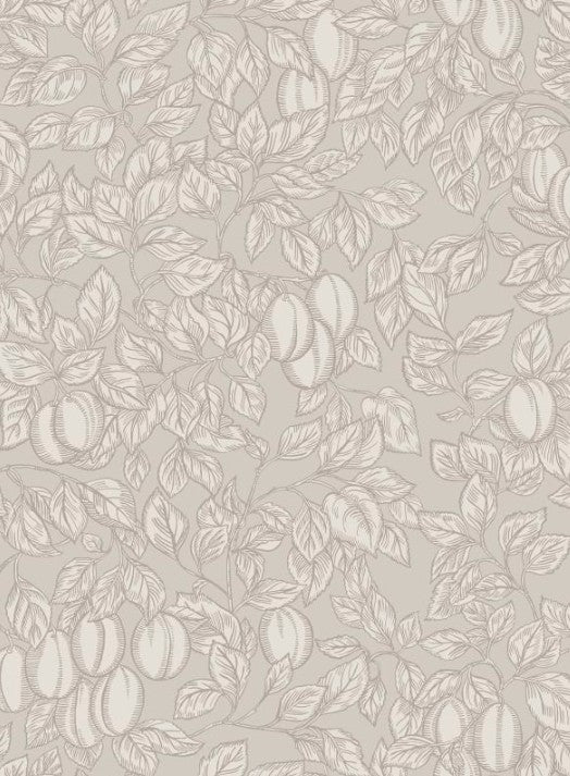 Sandberg | Wallpaper - Emrik