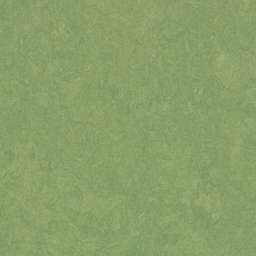 333260/933260 Leaf