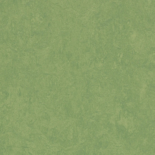 333260/933260 Leaf