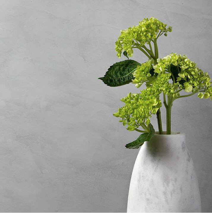 Color Atelier Lime Plaster -Smooth