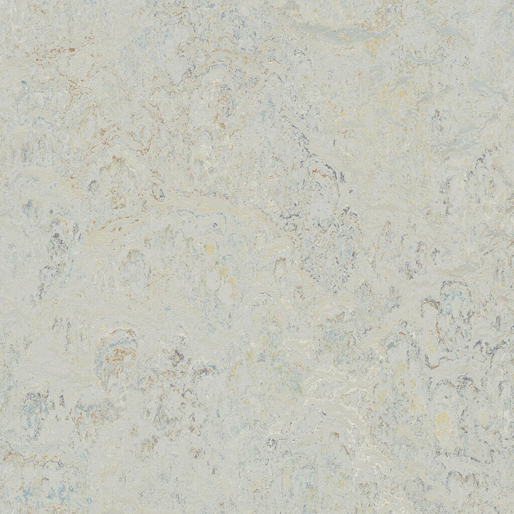 333428/933428 Seashell