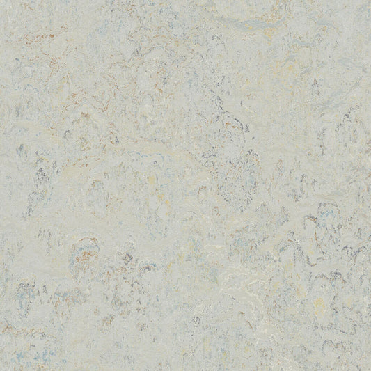333428/933428 Seashell