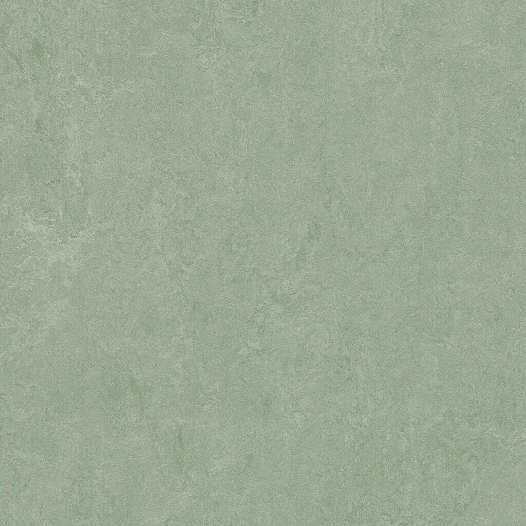 333891/933891 Sage