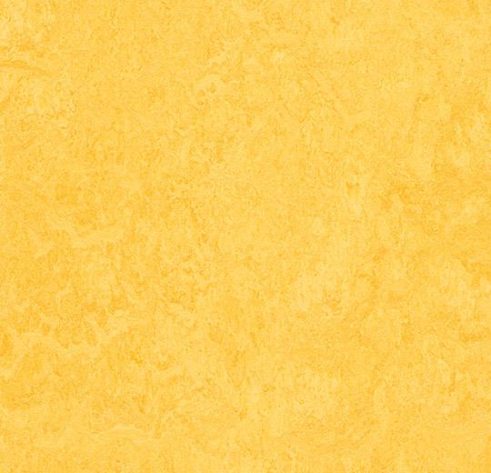 Marmoleum Click Lemon zest 333251/933251