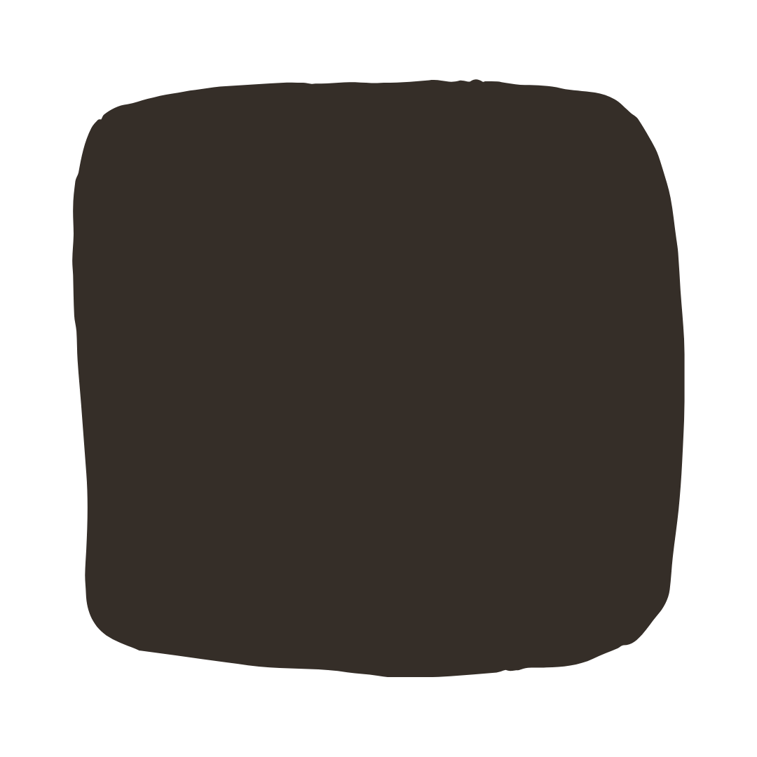 Color Atelier | Lime Wash Paint - Espresso