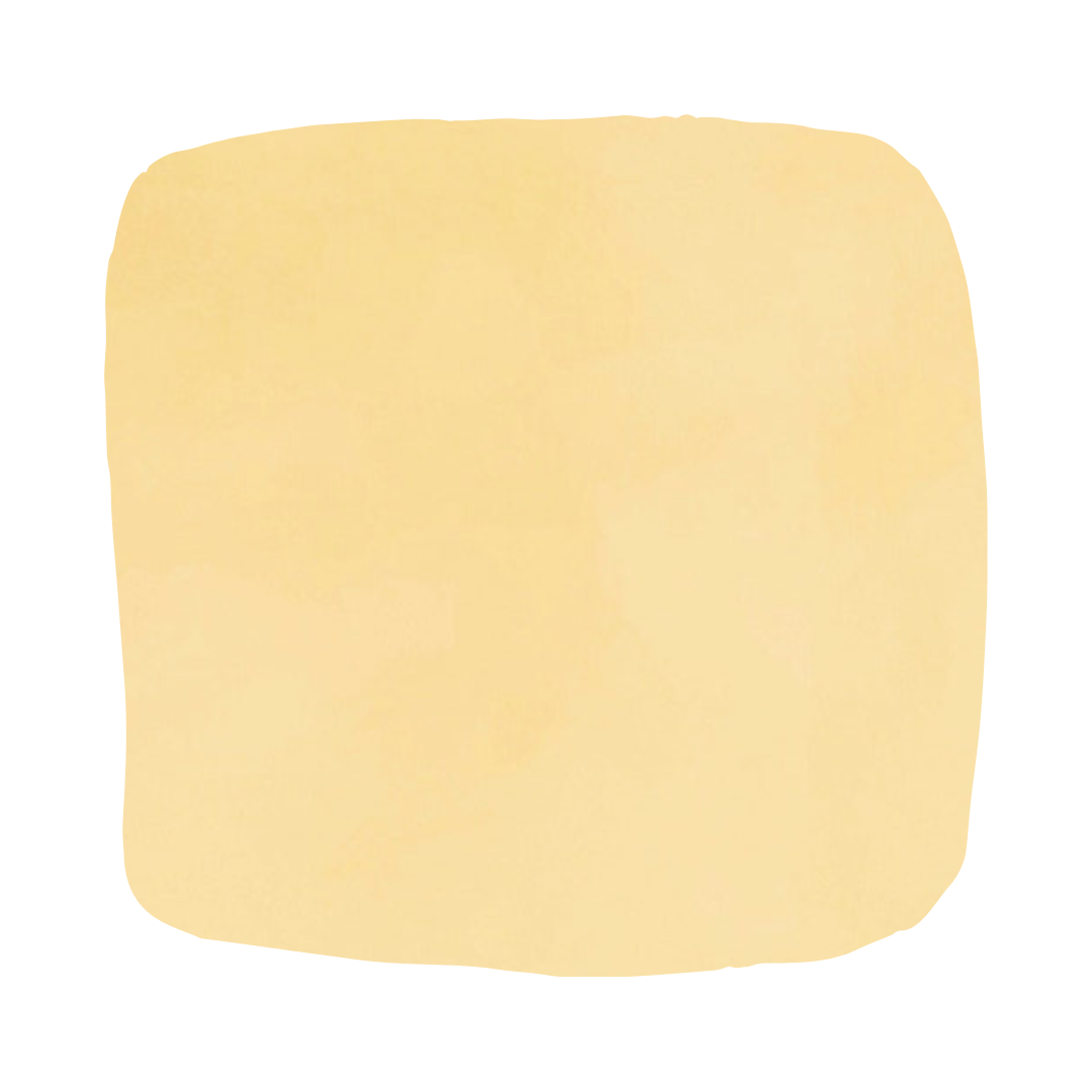 Color Atelier | Lime Wash Paint - Light Custard