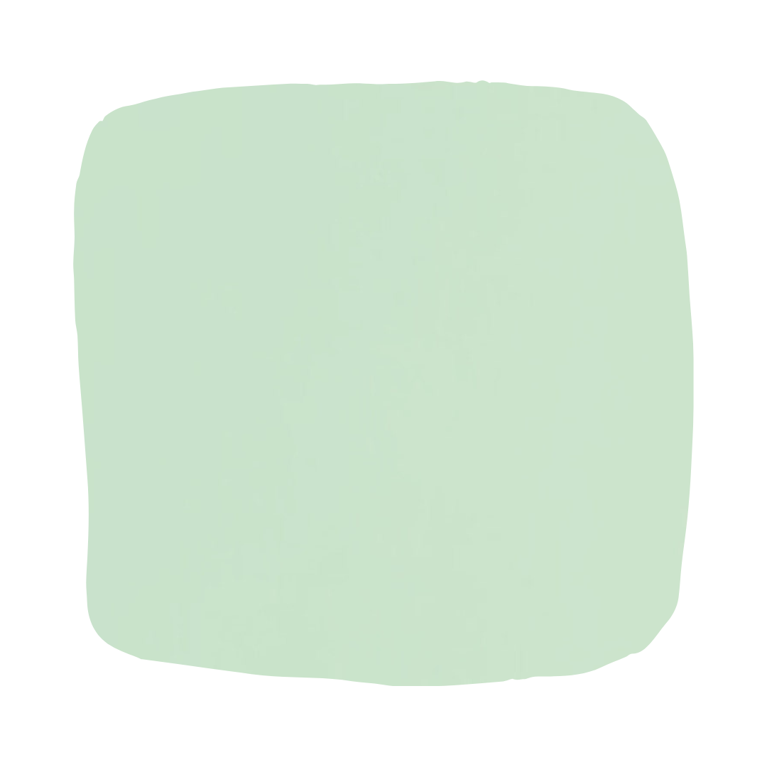 Color Atelier | Lime Wash Paint - Minted