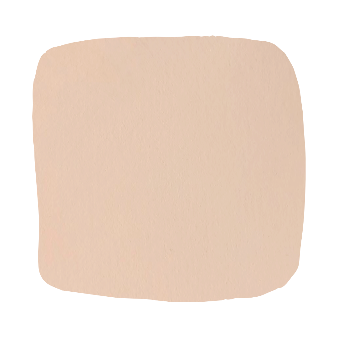 Color Atelier | Lime Wash Paint - Native