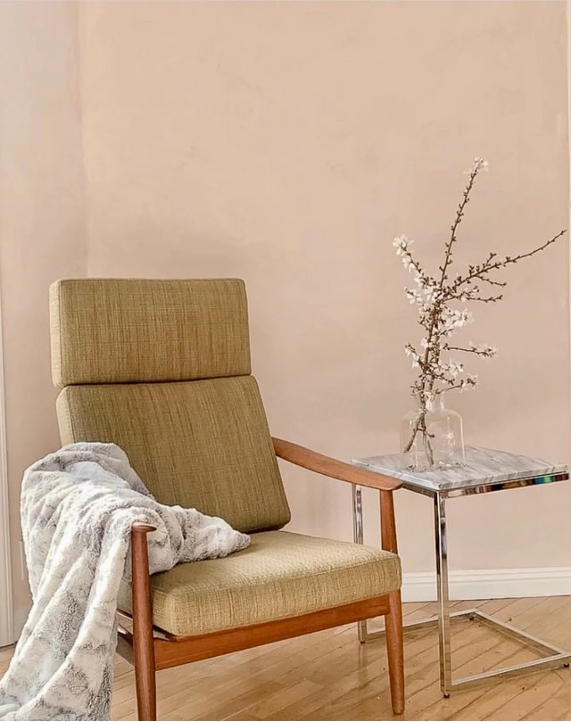 Color Atelier | Lime Wash Paint - Native