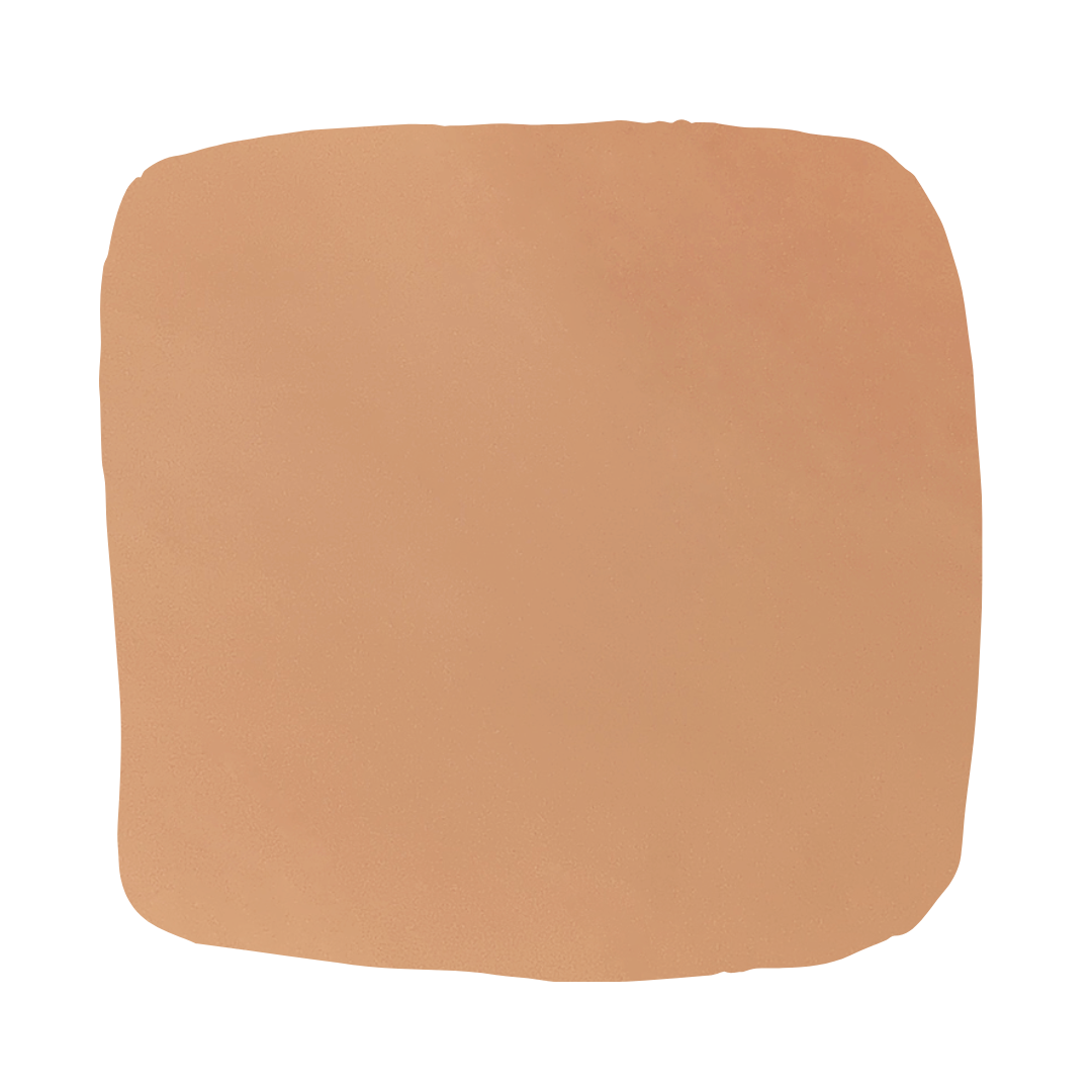 Color Atelier | Lime Wash Paint - Pamplemousse