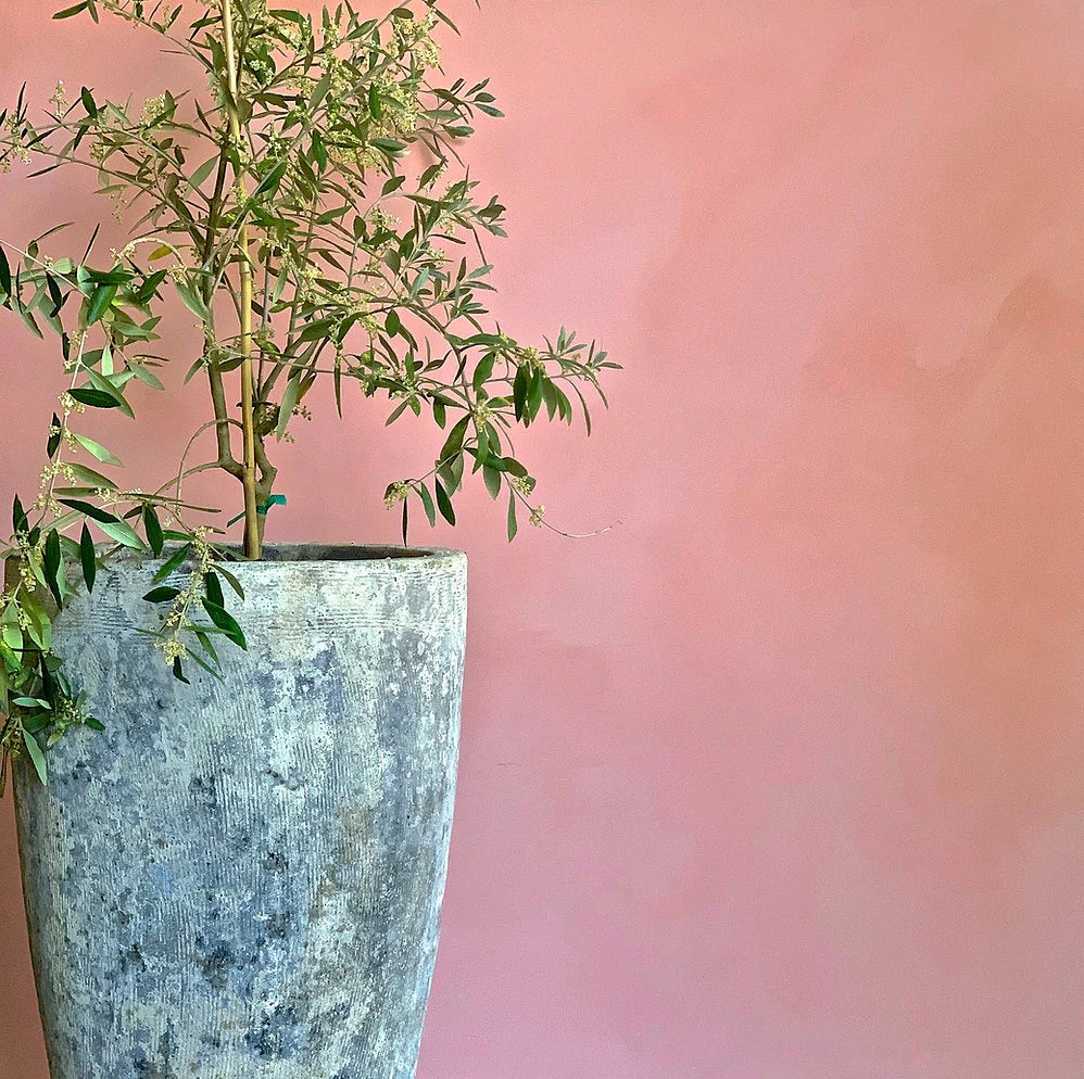 Lime Wash Paint - Pink Topaz