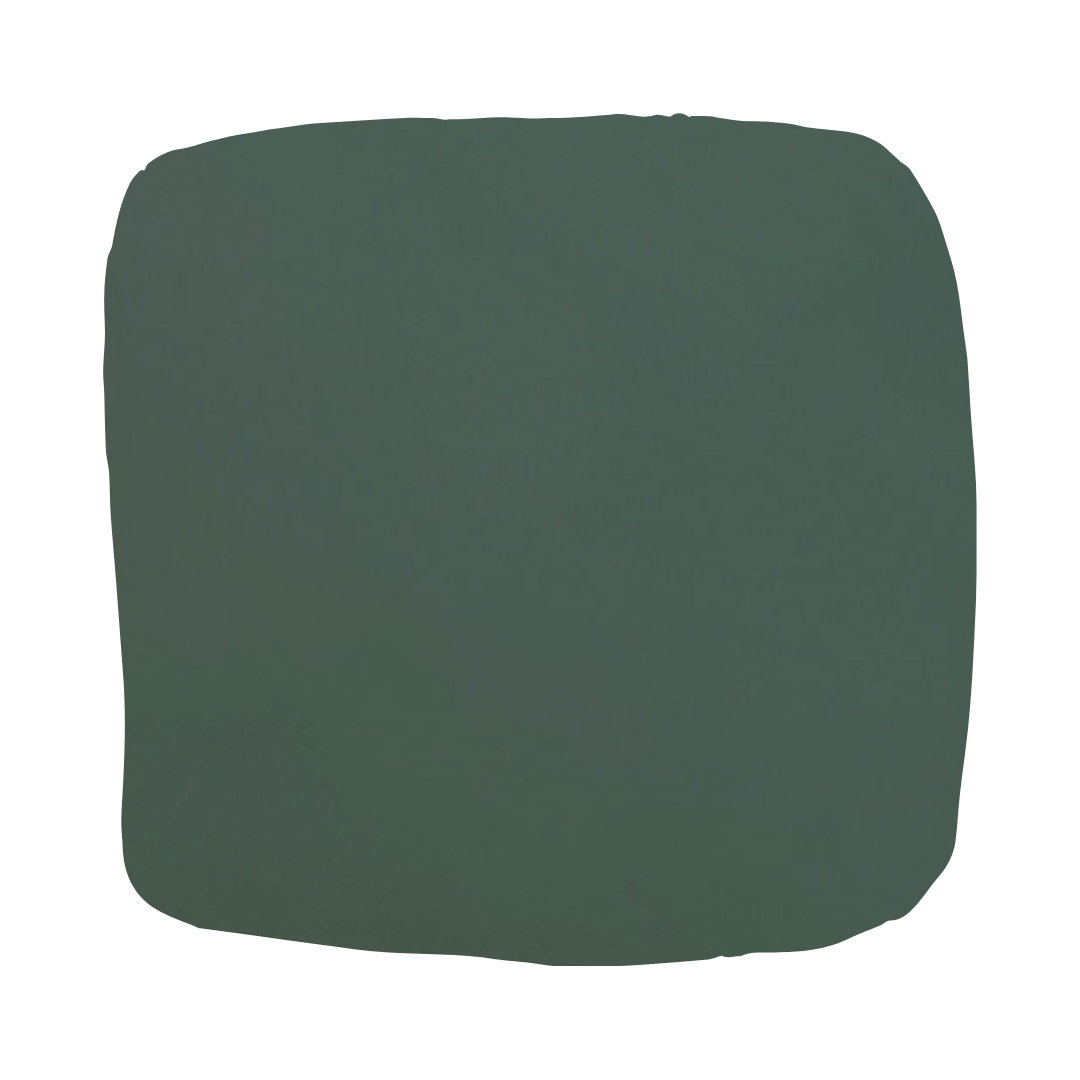 Color Atelier | Lime Wash Paint - Ritual