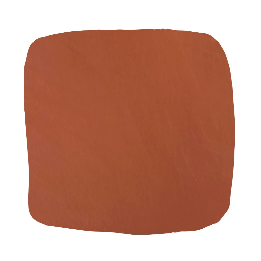 Color Atelier | Lime Wash Paint - Salute