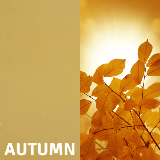 Autumn