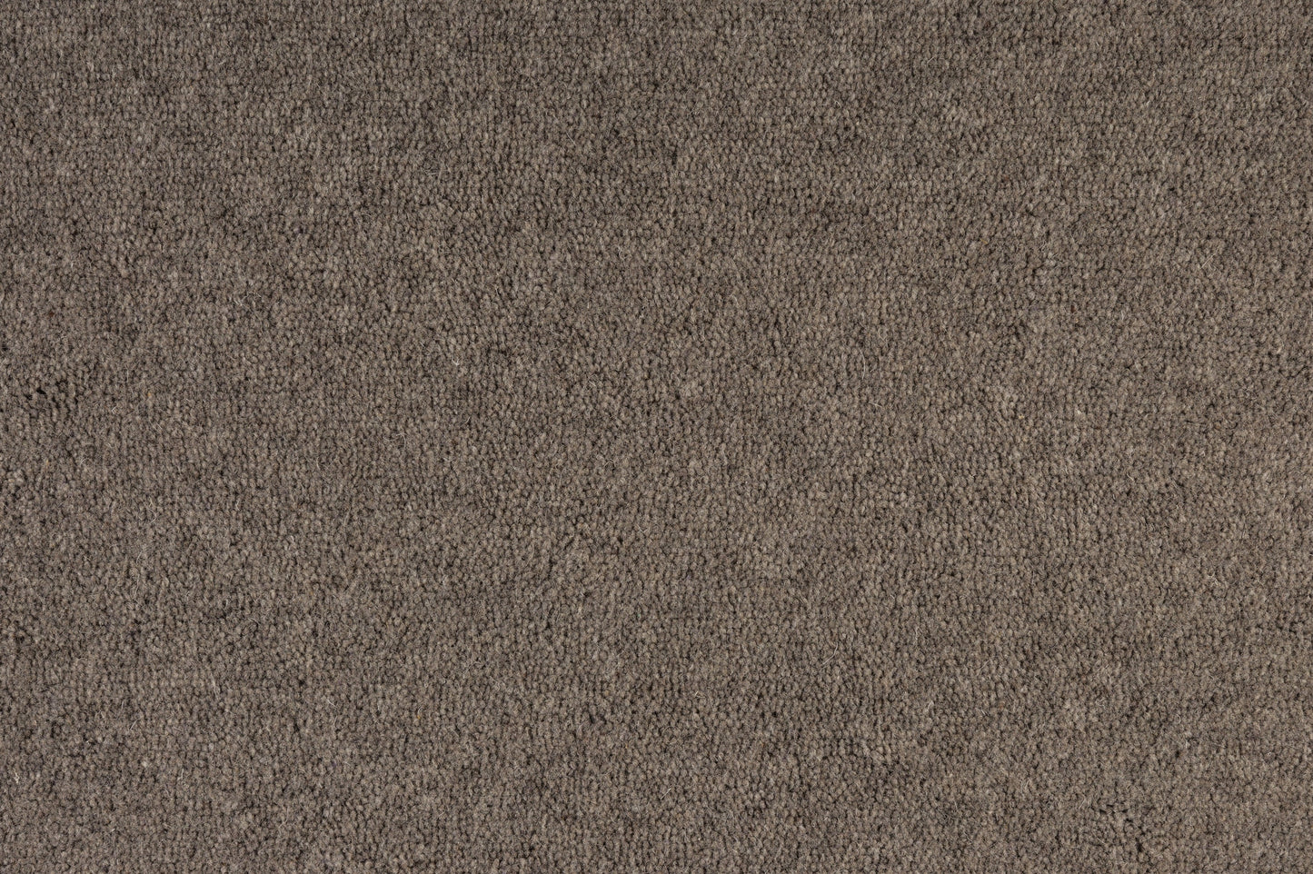 Belltower Plush Carpet