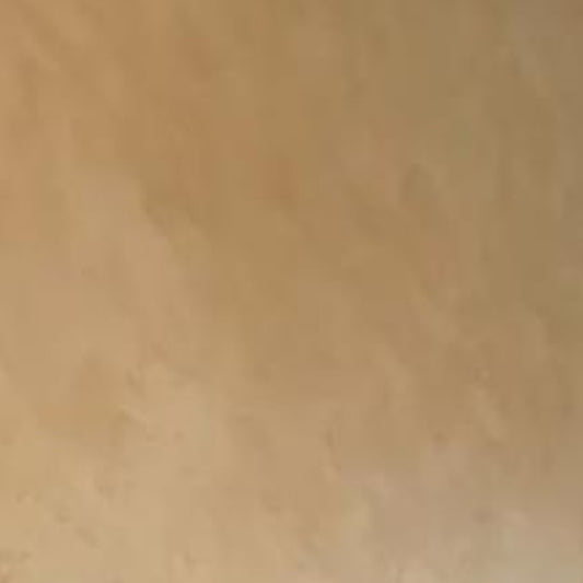 Carrara Coarse Plaster (Marmorino Coarse)