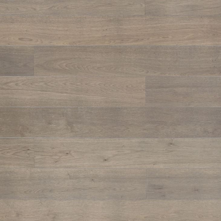 Longevity White Oak Oyster