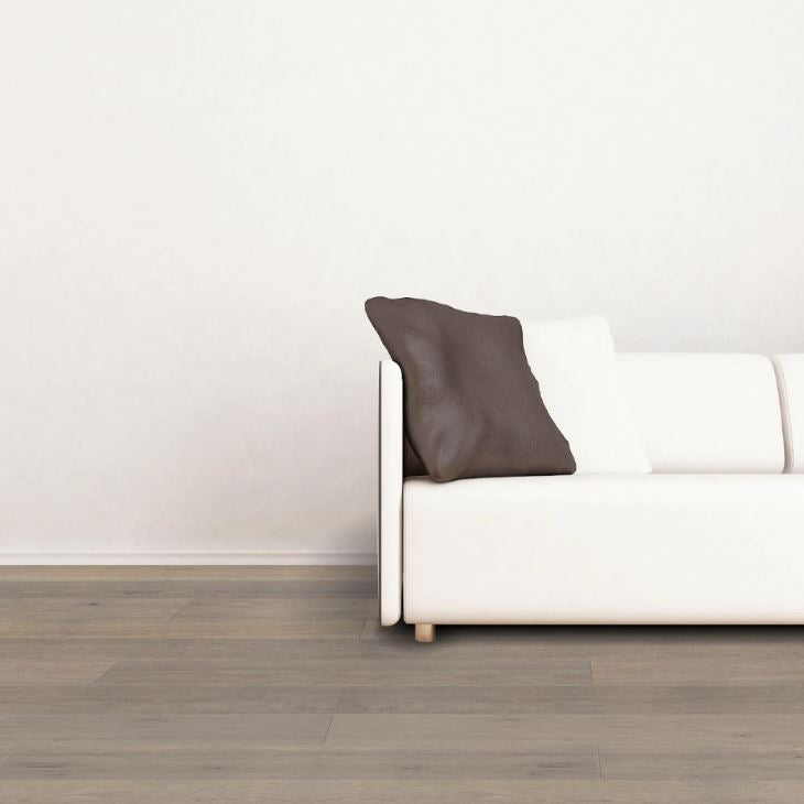 Longevity White Oak Oyster