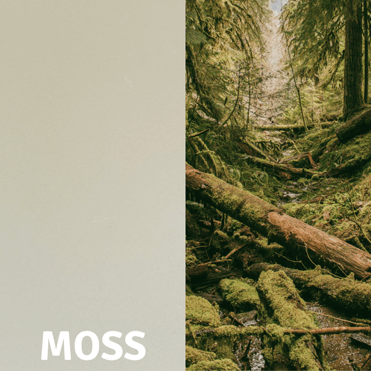 Moss