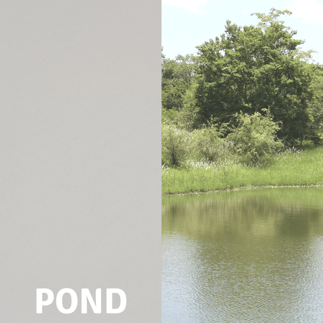Pond