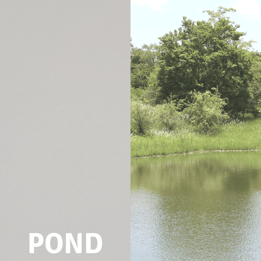 Pond