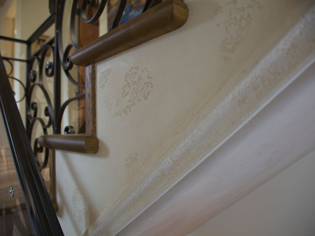 Travertino Lime Plaster