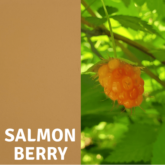 Salmonberry