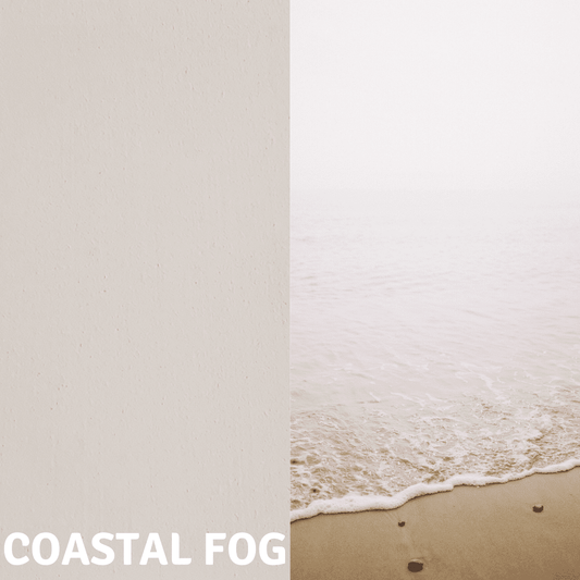 Coastal Fog