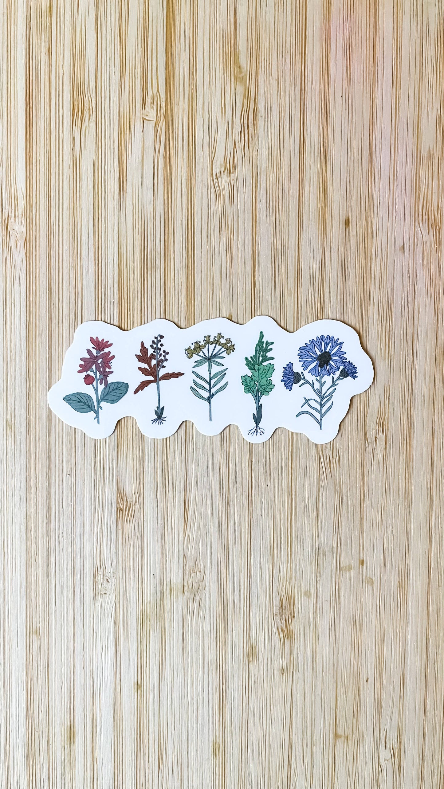Rainbow Certified - Subtle Rainbow LGBTQIA+ Garden Sticker