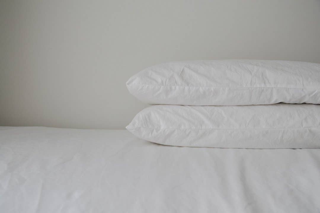 House of Jude - Pillow Case 2 Pack: Standard / White