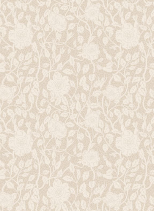 Sandberg | Wallpaper - Anton