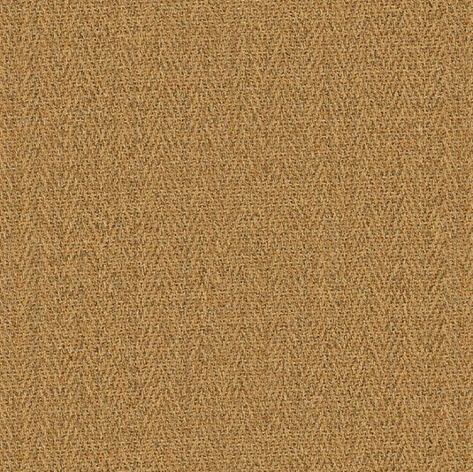 Astute -Sisal