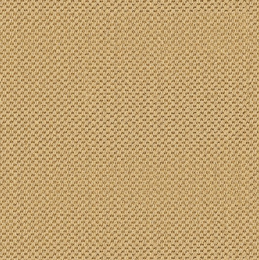Dagon Grass - Sisal