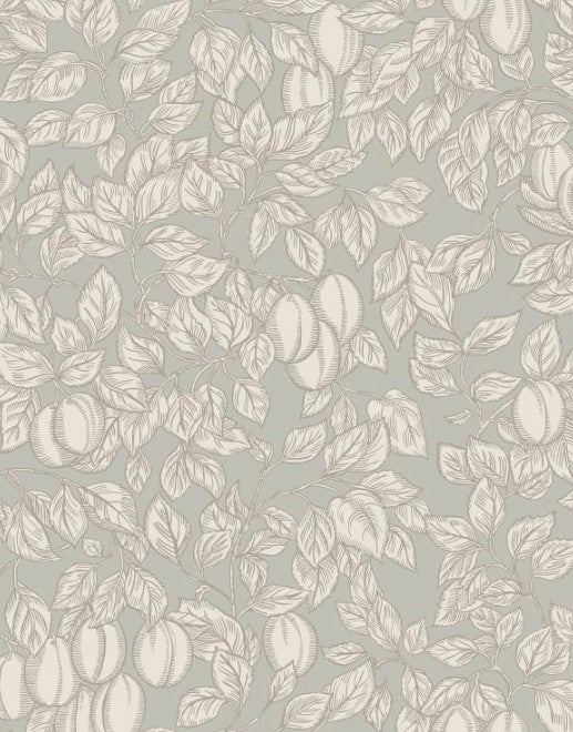 Sandberg | Wallpaper - Emrik