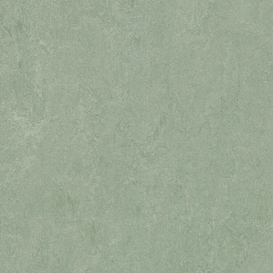 333891/933891 Sage