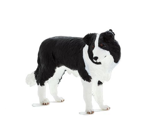 Hauck Toys | MOJO Border Collie