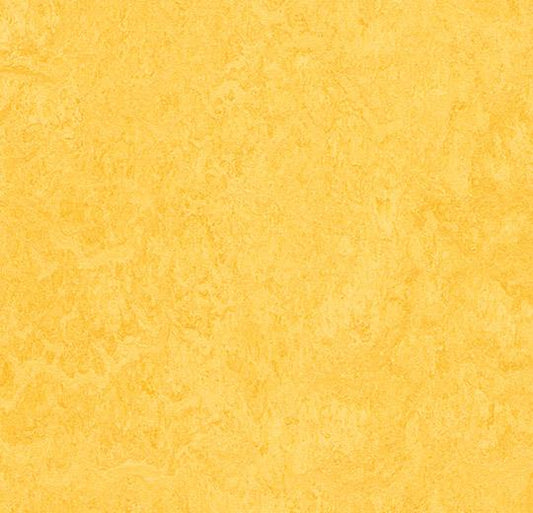 Marmoleum Click Lemon zest 333251/933251