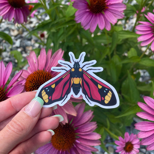 Lunar Splendor | Sticker - Red Patterned Moth