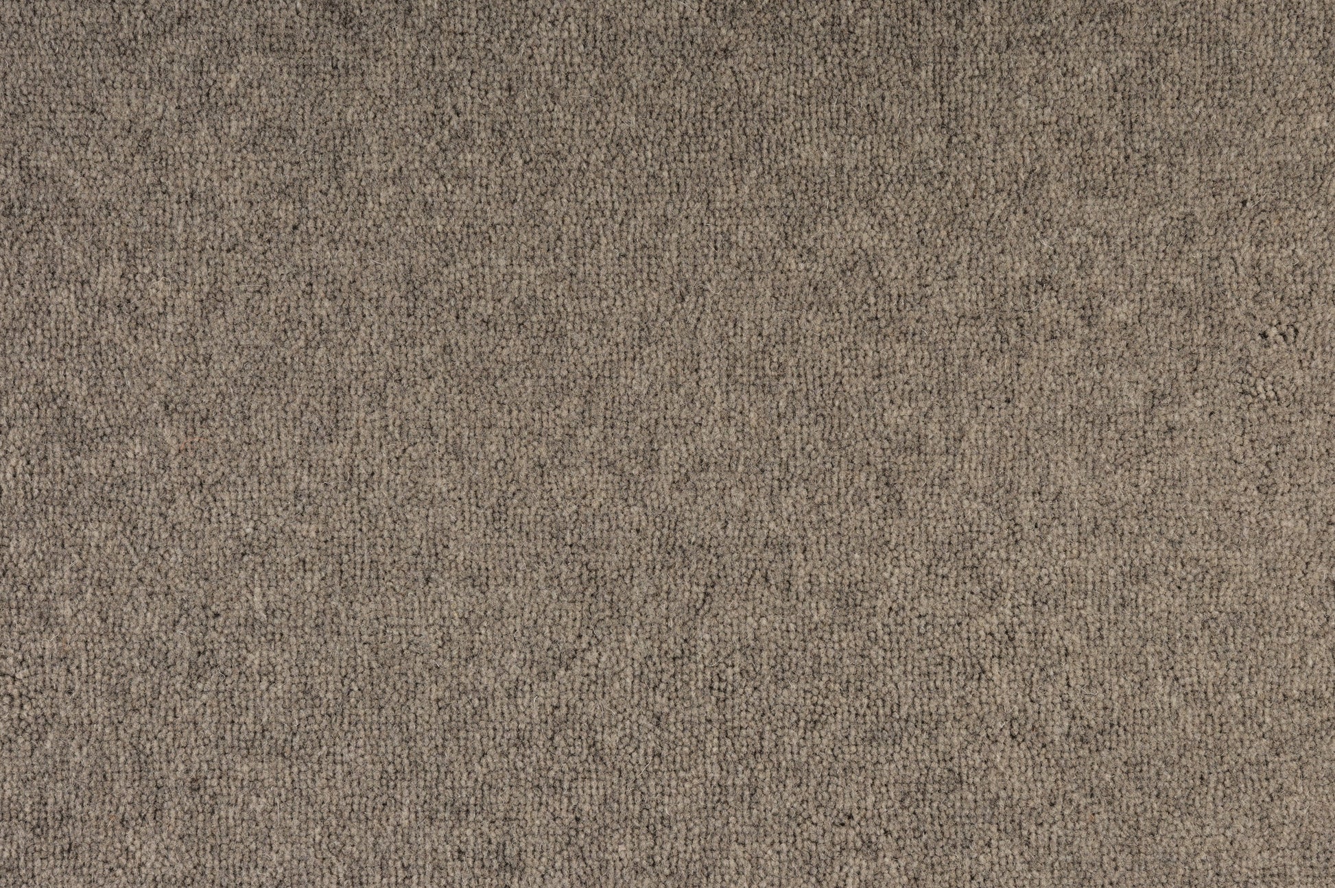 Belltower Plush Carpet