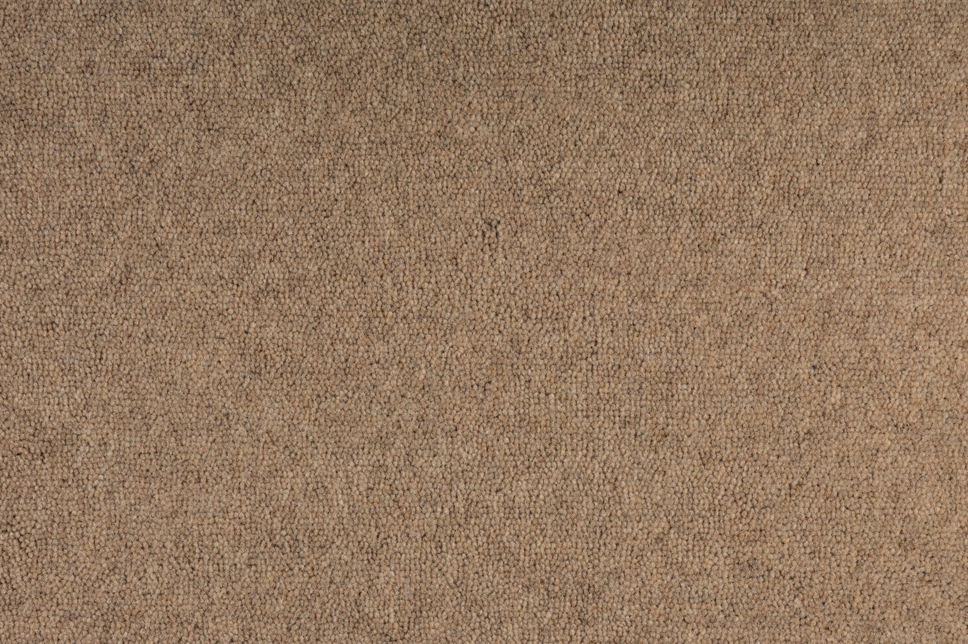 Belltower Plush Carpet