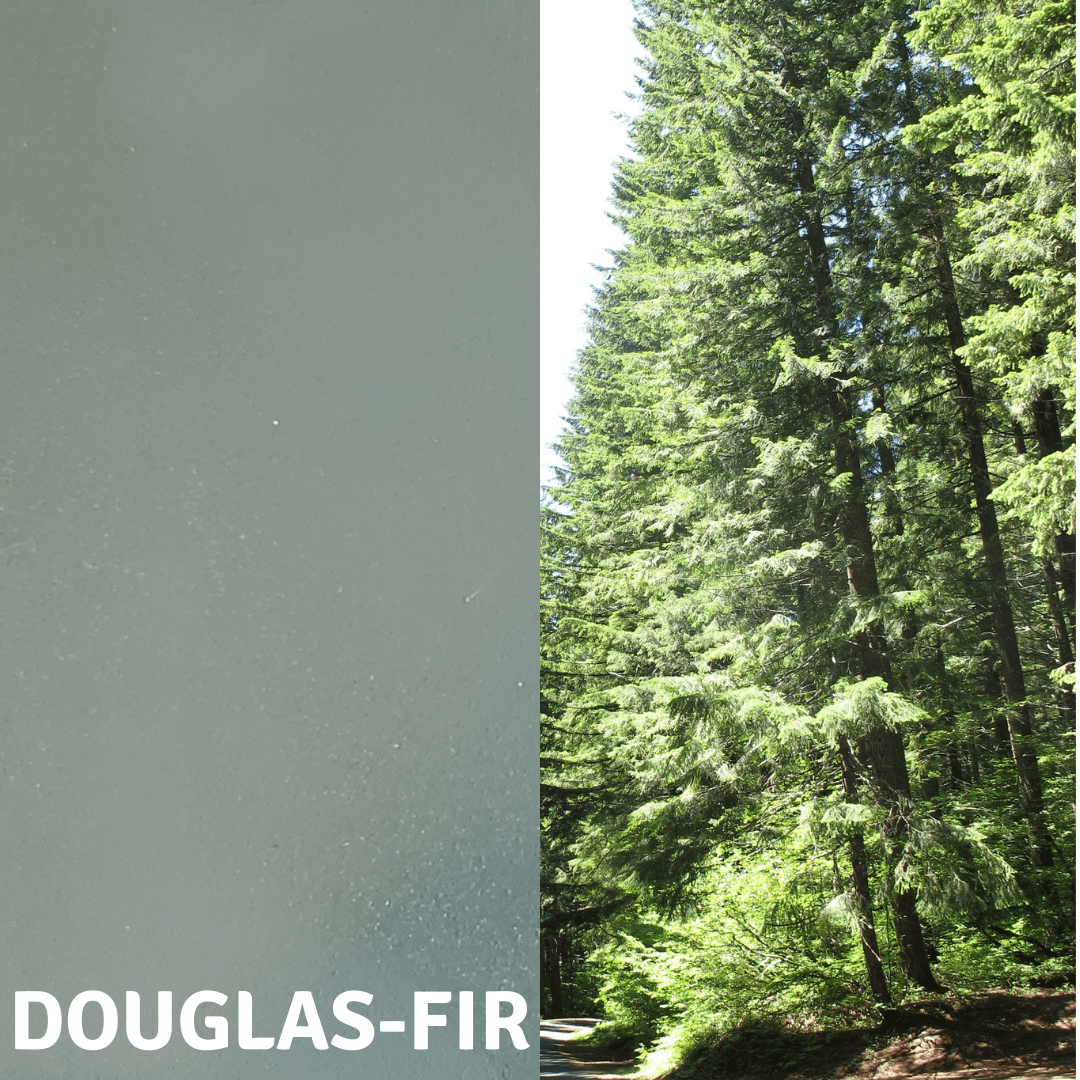 Douglas-Fir