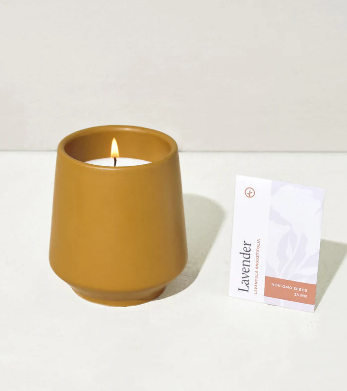 Modern Sprout | Rooted Soy-blend Candles