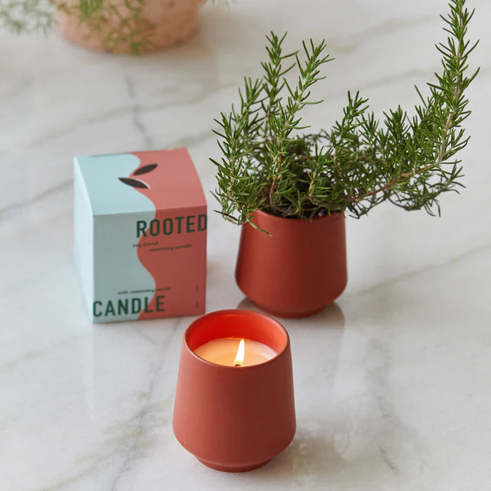 Modern Sprout | Rooted Soy-blend Candles