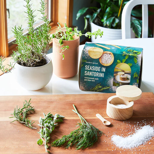 Modern Sprout | Garden Travel Kits