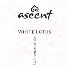 Ascent Incense Sticks - White Lotus